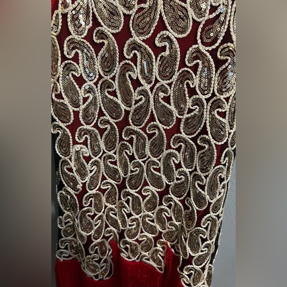 The Perfect Roaring 20’s Paisley Sequins Fringed Dress - Picture 6 of 6